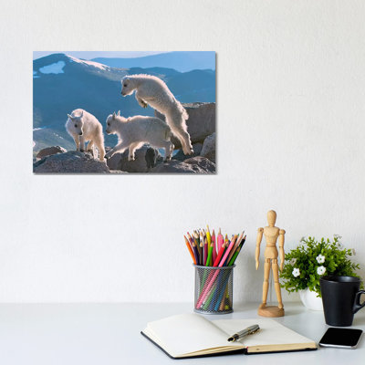 Kids 1 Piece Wrapped Canvas Wall Art