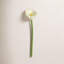 Petite tige de lis Calla