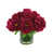 Fuchsia foncé