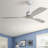 Nicola 60 Inch Elegant Ceiling Fan with Remote Control,3 Mahogany Solid Wood Blades, Suitable for Indoor and Outdoor-585761797