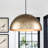 1 - Light Single Dome Pendant Light