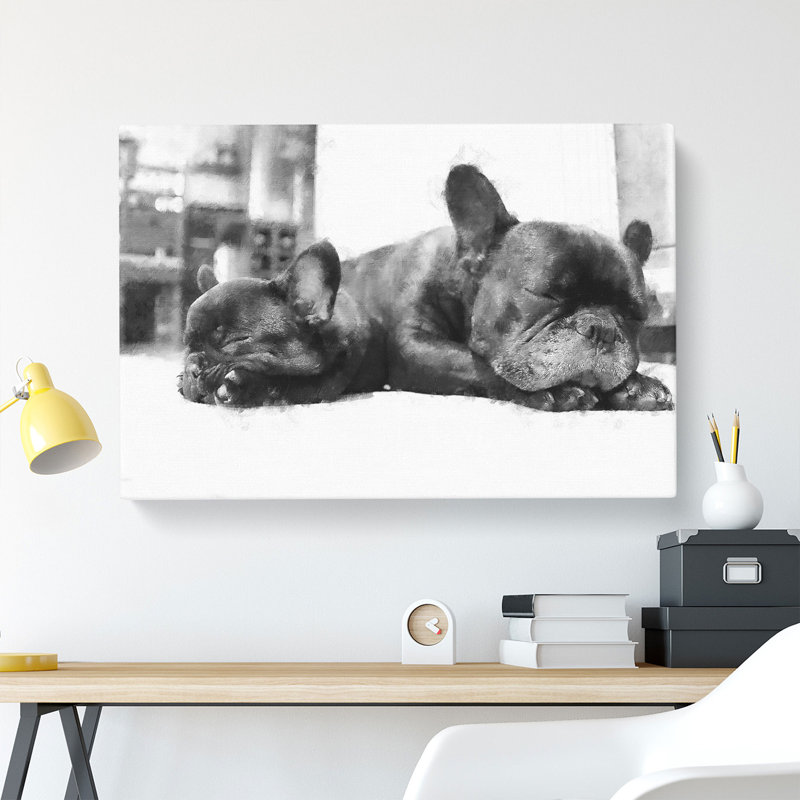 Two French Bulldogs - Wrapped Canvas, 35cm H x 50cm W x 3cm D
