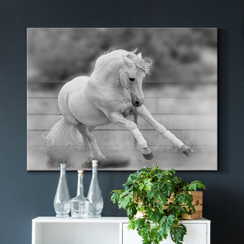 All For Show - Wrapped Canvas Print, 18" H x 12" W x 1" D