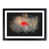 Black Framed selected