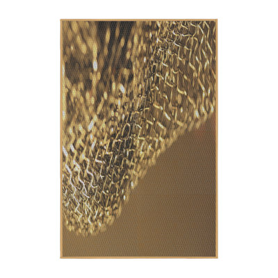 Indoor Rug