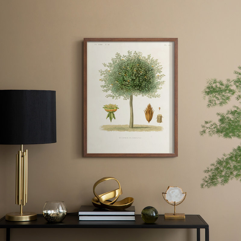 Arbre antique avec fruit X, reproduction encadrée - bois massif, H 11 po x l 9 po, Noyer