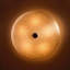 Magma Flush Mounted Sconce
