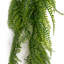 75 cm H Faux Plant
