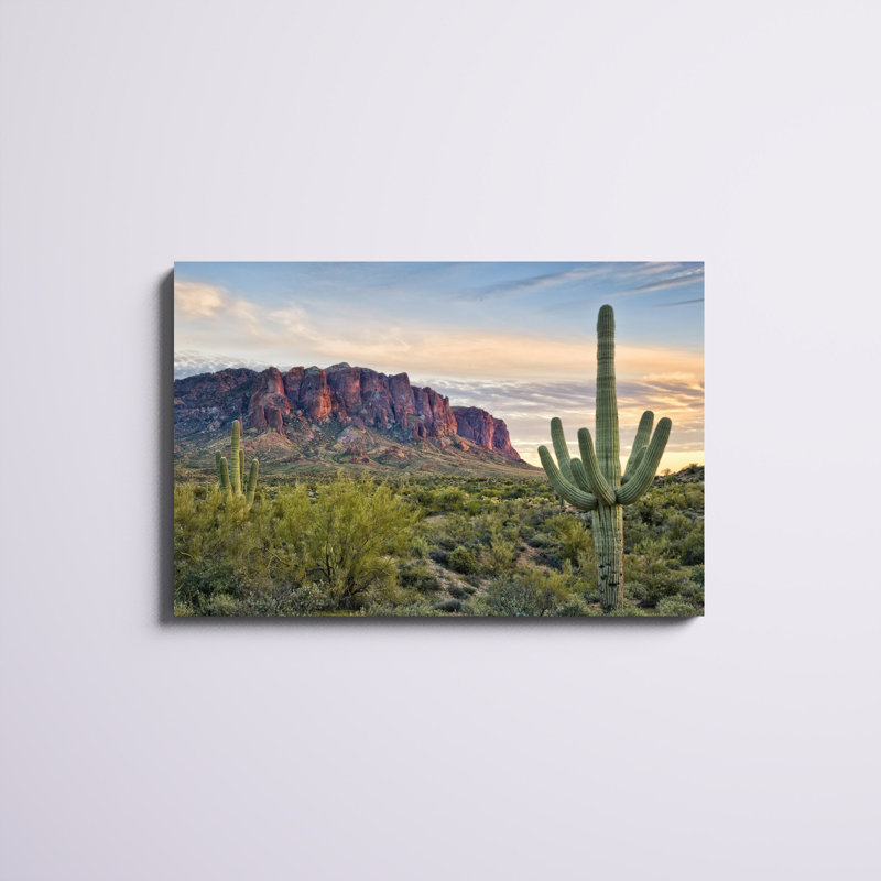 «Cacti View II», photographie sur toile, H 24 po x l 36 po