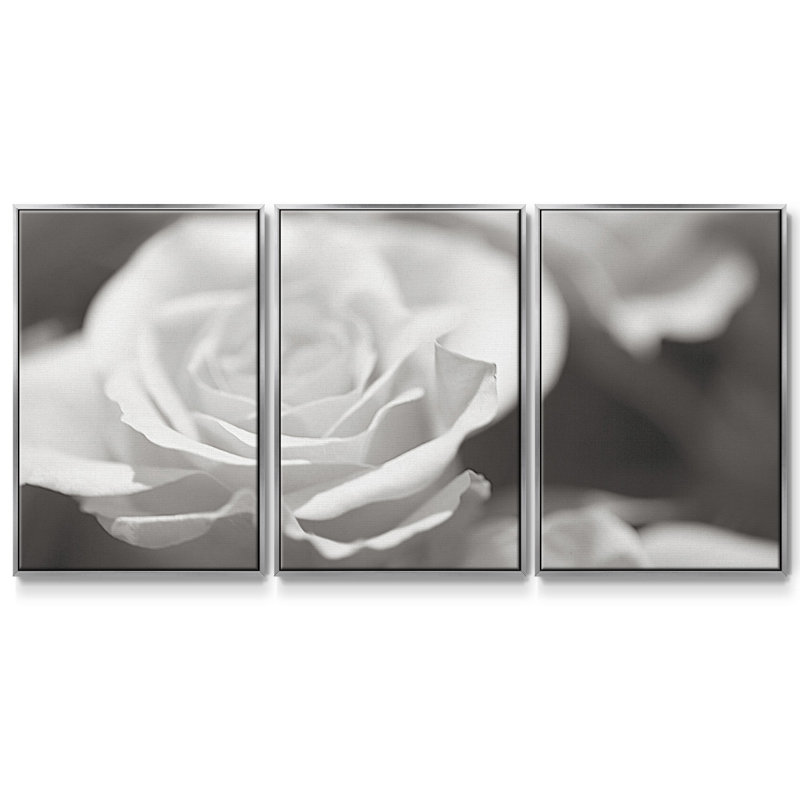 Roseudes IV - Toile encadrée multi-pièces, H 24 po x l 48 po x P 2 po, Argent