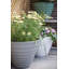Norval Lightweight Recycled Plastic Garden Pot Planter Vale Planter with In-Built Saucer - L40 x W40 x H30 cm-2138461262