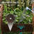 3-Tier Raised Garden Bed