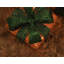 Christmas Decorative Accent