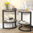 Adasha End Table Set-264566230
