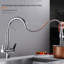 Belfry Kitchen Wilburg Pull Out Kitchen Faucet
