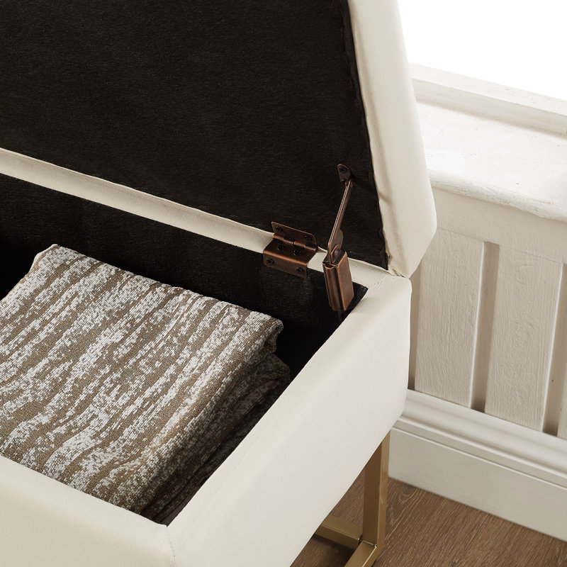 Jiayi 46.1'' Velvet Upholstered Storage Bench, Beige, Black