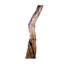 Teak Root Sculpture
