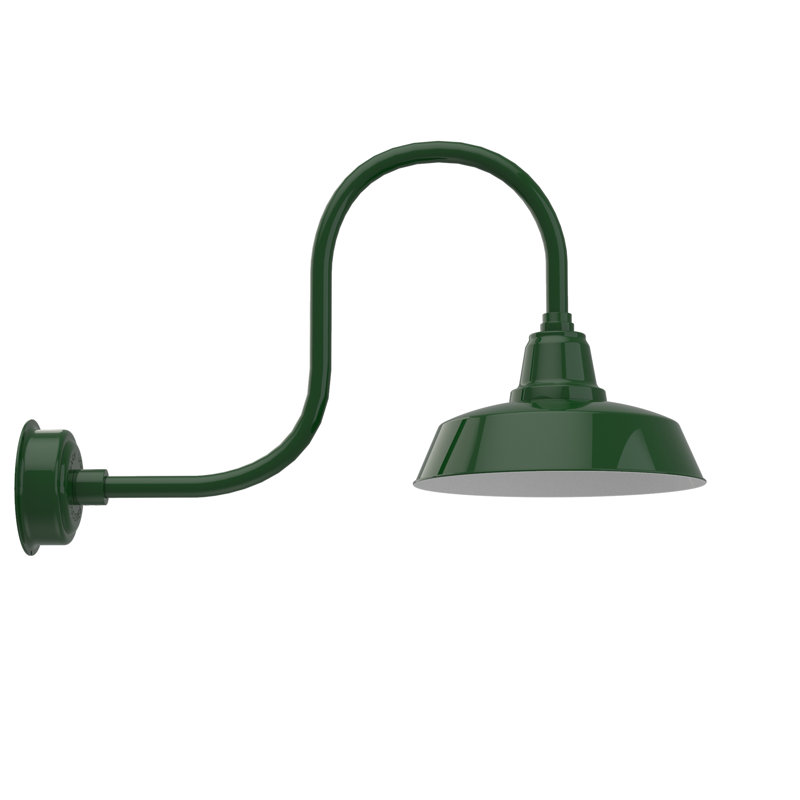Luminaire de grange d'extérieur à DEL Vandervliet, H 9 po x l 14 po x P 17 po, Vert rétro