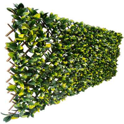 30'' H x 98'' W Polyethylene Plastic