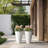 Aftina Pot Planter-251255585-222556234