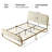 Nelsie Upholstered Platform Bed with Velvet Tufted Headboard-1002191314-996180397