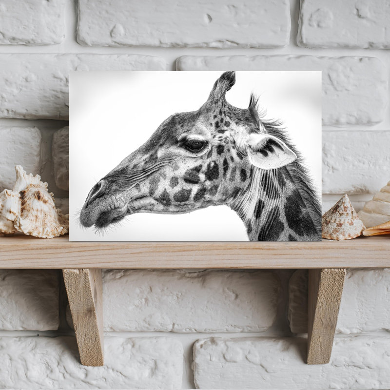Majestic Giraffe Profile Contemporary Wall Art Print, 30.48cm H x 45.72cm W