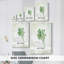 Persil frais - galerie Cavas enveloppé-303109760