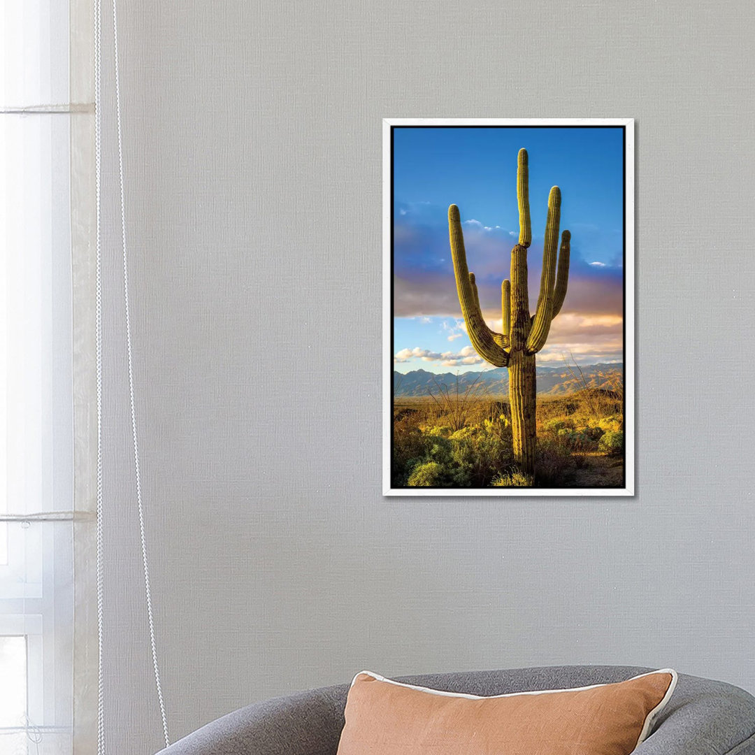 Sonnenuntergang Saguaro National Park Ost III von Susanne Kremer - Galerie-verpackte Leinwand Giclée auf Leinwand