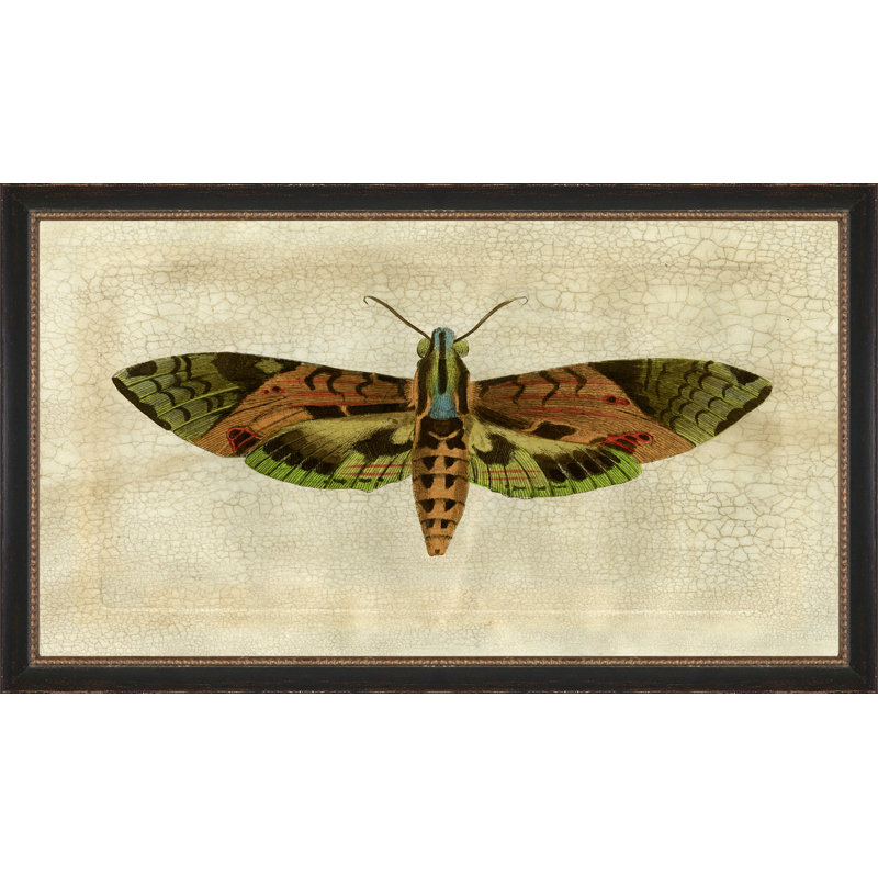Papillon craquelé 6 - Peinture sur papier avec cadre photo