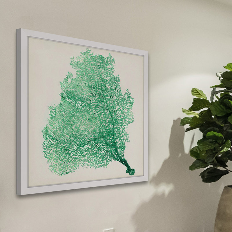 «Sea Fan VII», reproduction encadrée, H 12 po x l 12 po x P 1,5 po