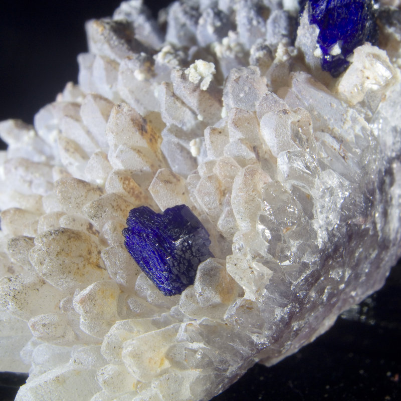 Azurite on Quartz Rosette - Zoila Mine, Mexico