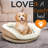 Hana Oval Pet Bed