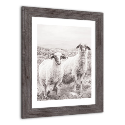 Sheep On Hill, reproduction encadrée