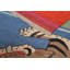 Raiden Ikat Hand Woven Area Rug-796197802