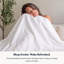 Ensemble de draps 100% coton tissé en percale de coton, 400 fils au pouce carré, certifié GOTS, lisse et anti-humidité-101824505-101824510