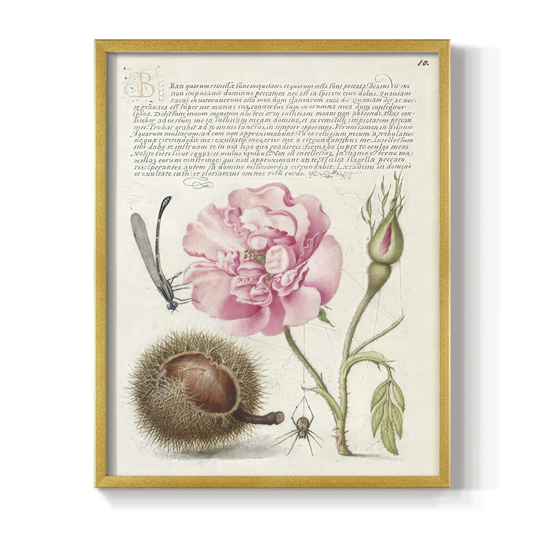 Reproduction encadrée de Hoefnagel «Tropical Specples II» - bois massif, H 21 po x l 17 po, Doré