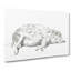 Lying Pig by Jean Bernard - Wrapped Canvas Print-55365749