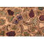 One-of-a-Kind Rectangle 8'2" X 11'4" Area Rug