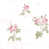 White/Pink