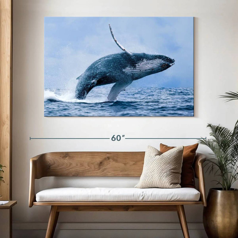 Baleine à bosse Brampt, H 34 po x l 51 po