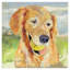 « gus », reproduction d’art sur toile-31105377