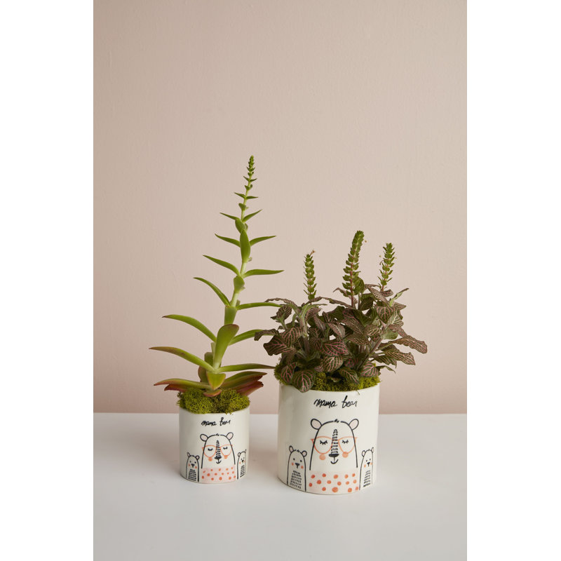 Mama Bear Pot