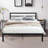Queen 36.49'' Steel Bed Frame-89150948