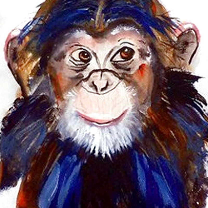 Housse et insert de coussin carré intérieur / extérieur Chimpanzee, Grand