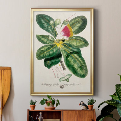 Imperial Tropical Botanical I, reproduction d'art encadrée