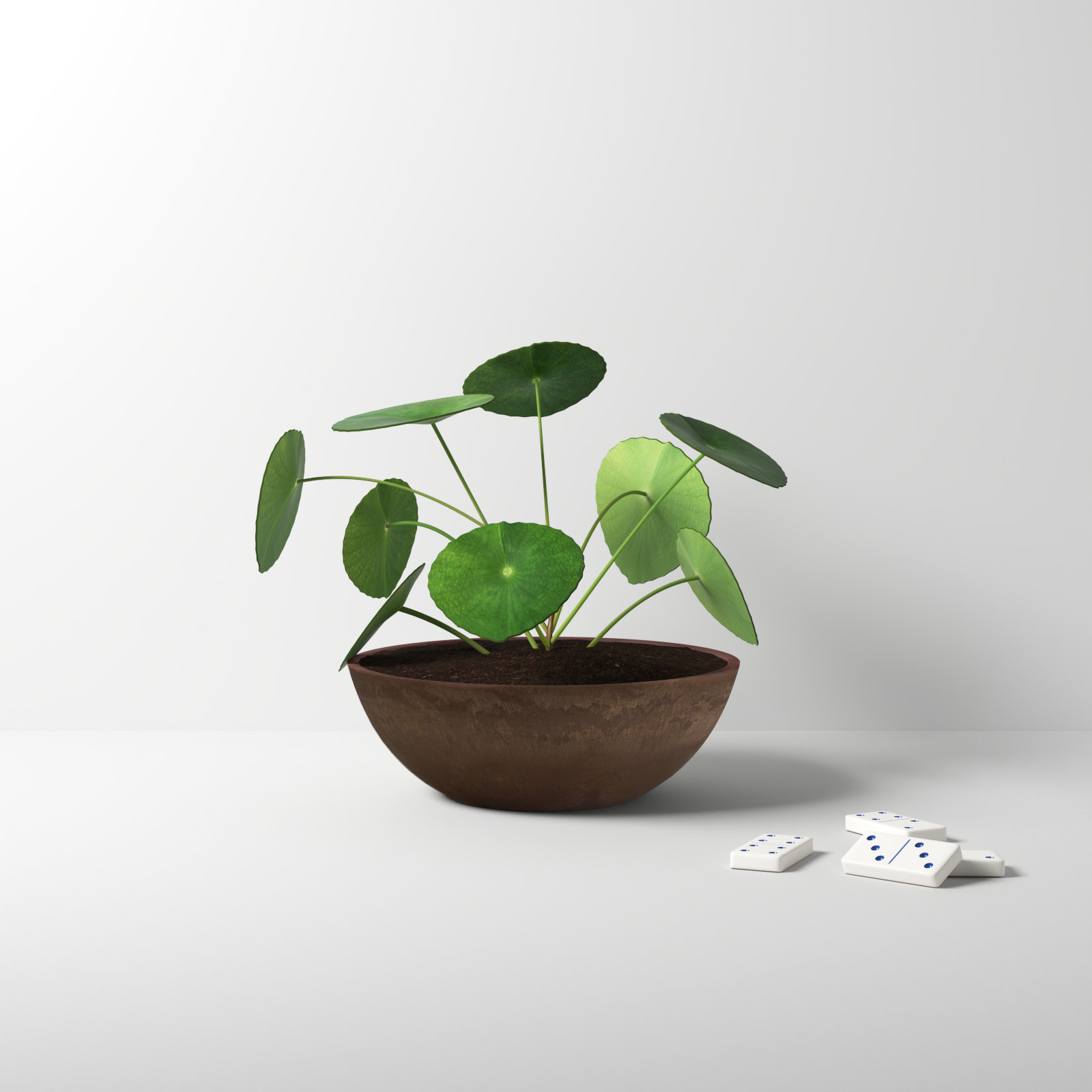 Haven Pot Planter, Chocolate, 3" H x 8" W x 8" D