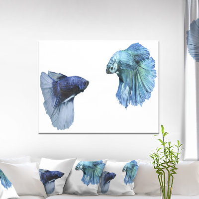 Fighting Fish, impression numérique sur toile tendue