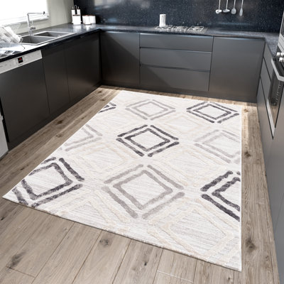 Ayreana Geometric Hand Woven Area Rug