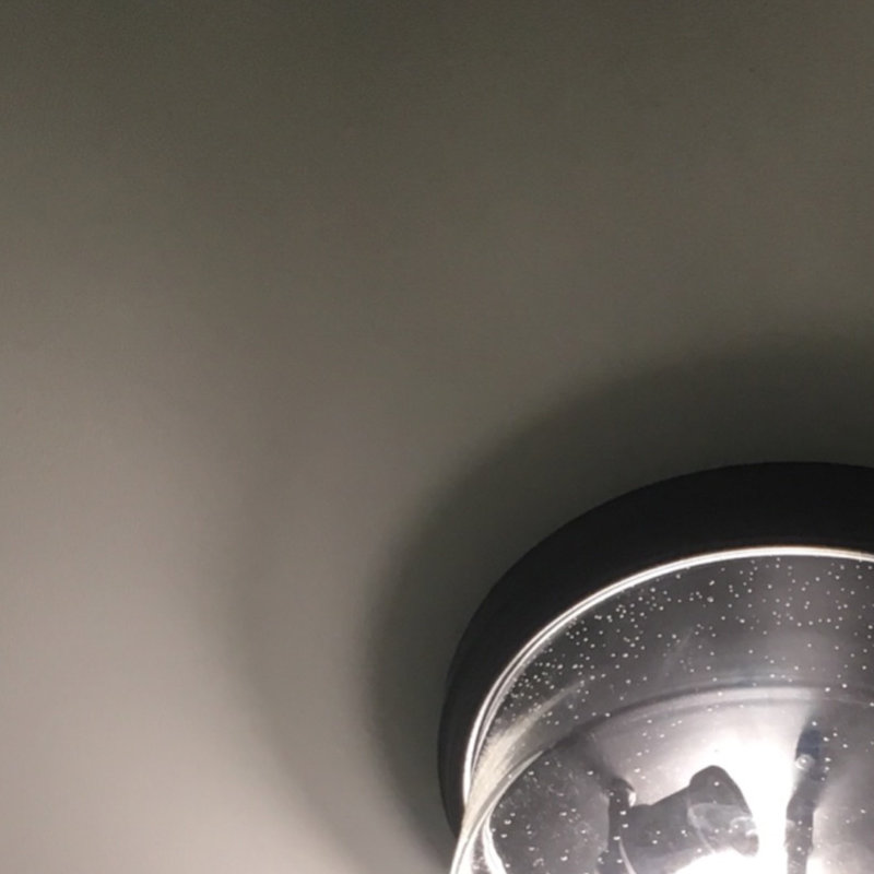 Customer review by Sara