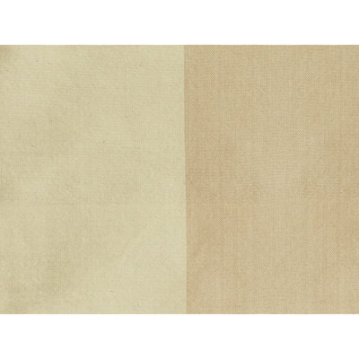 Petersburg Stp Silk Fabric